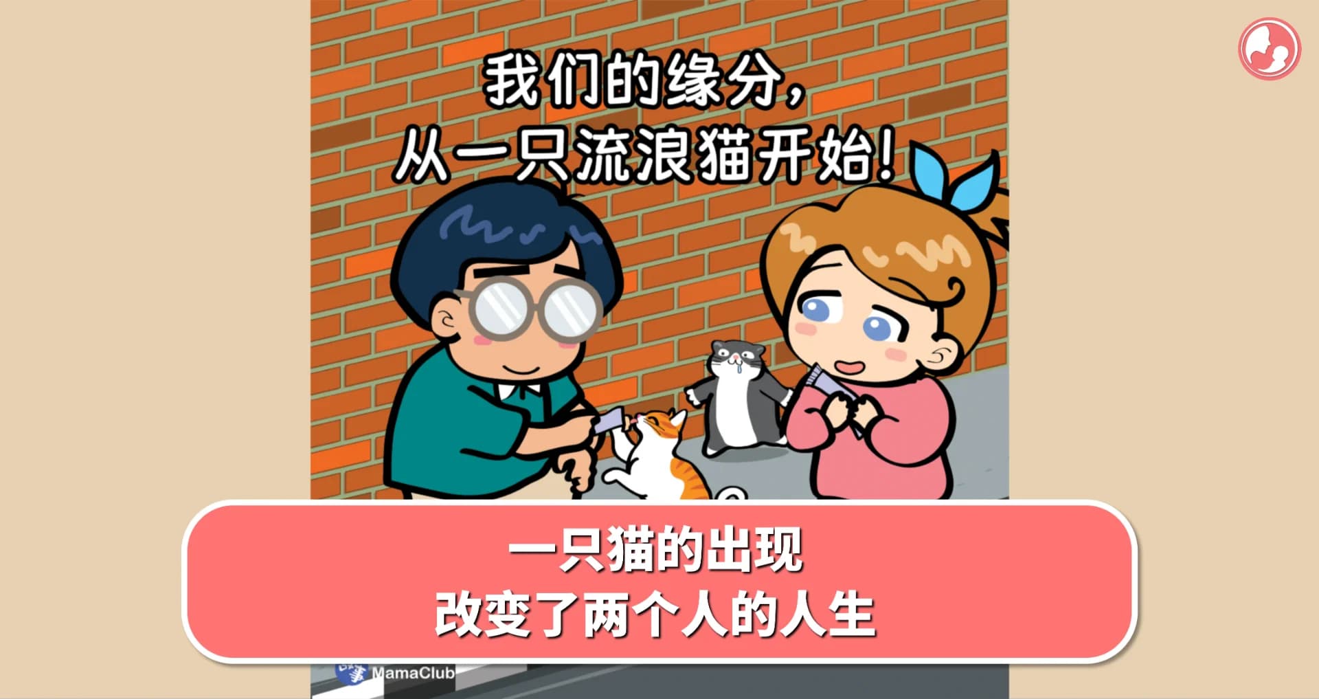 【故事投稿】一只猫的出现,改变了两个人的人生