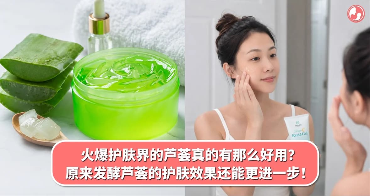 火爆护肤界的芦荟真的有那么好用?原来发酵后的芦荟,护肤效果还能更进一步!